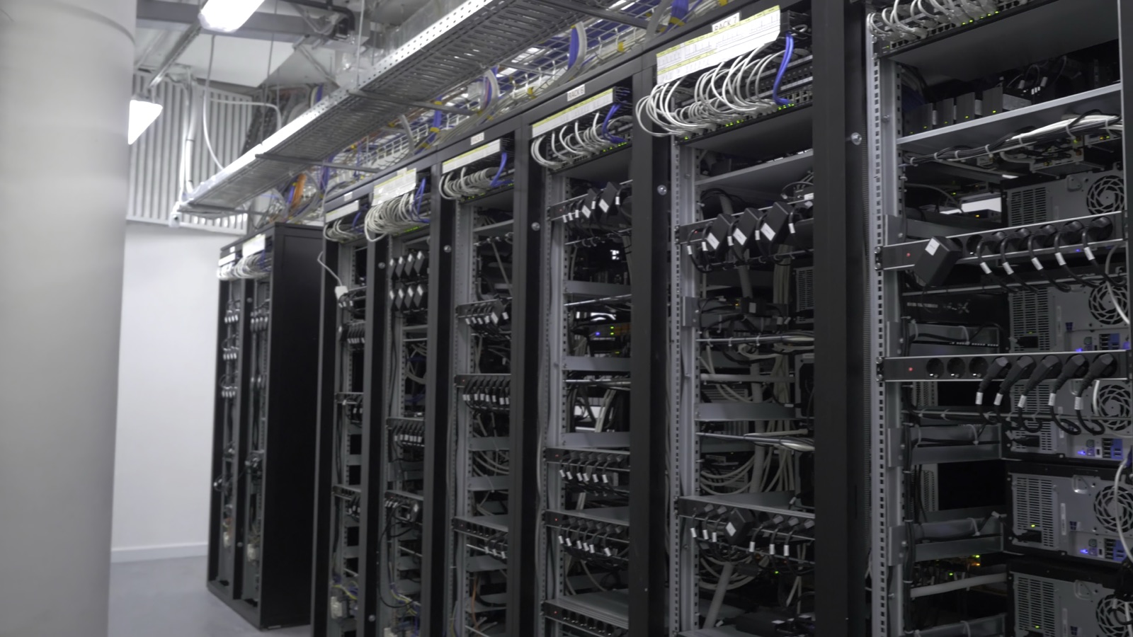 Hosting y procesamiento de información